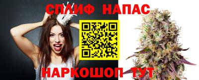 индика Тверь