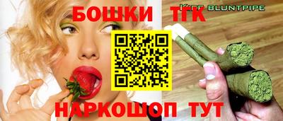 индика Тверь