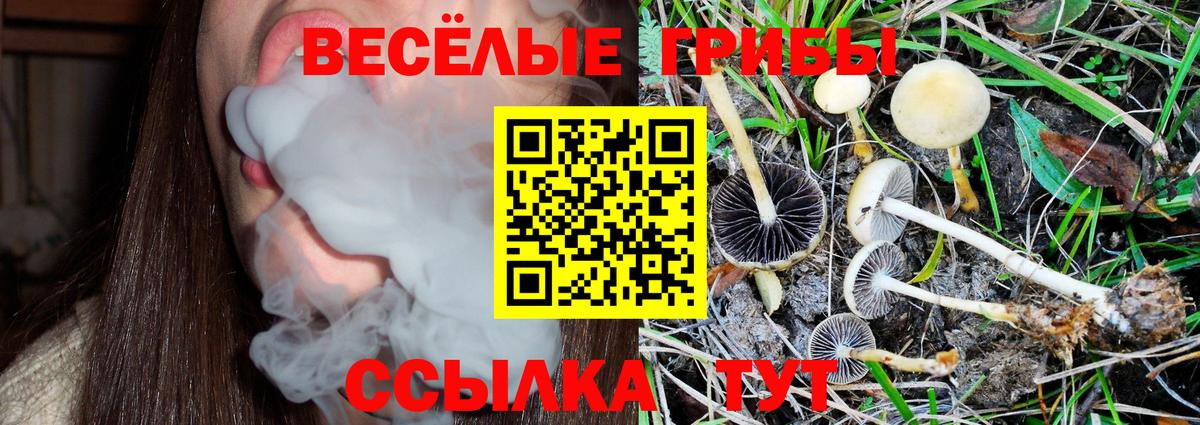 Псилоцибиновые грибы GOLDEN TEACHER  Вход с VPN  купить наркотики сайты  Батайск  Галлюциногенные грибы мицелий 